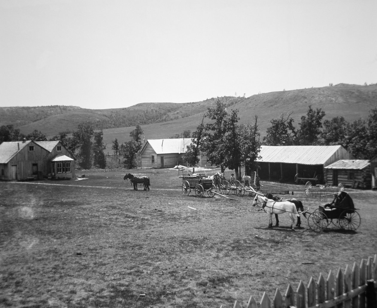 The Haylie Ranch, Crook County, Wyoming, 1890 dolayları (s/b fotoğraf) by American Photographer