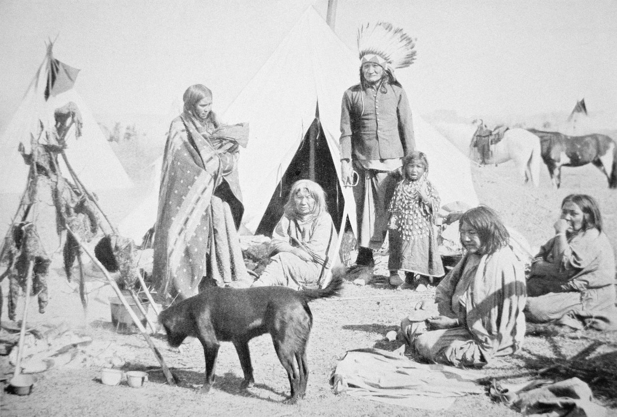 Pine Ridge