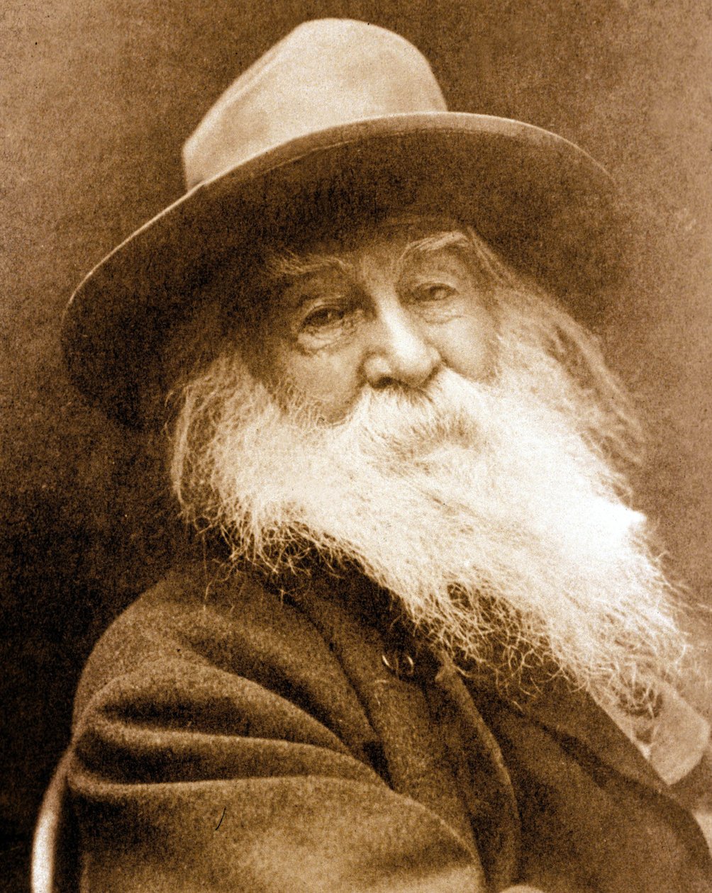 Walt Whitman (s/b fotoğraf) by American Photographer
