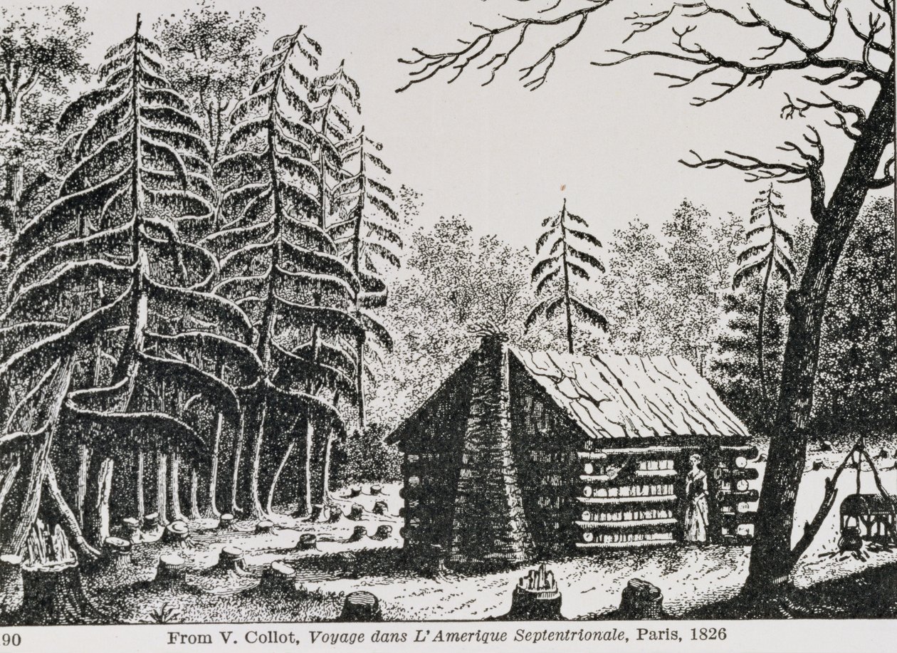Ubuzima bwo murugo mubugereki, uhereye kumanikwa yishuri rya MacMillan, c.1950-60s rki by American School