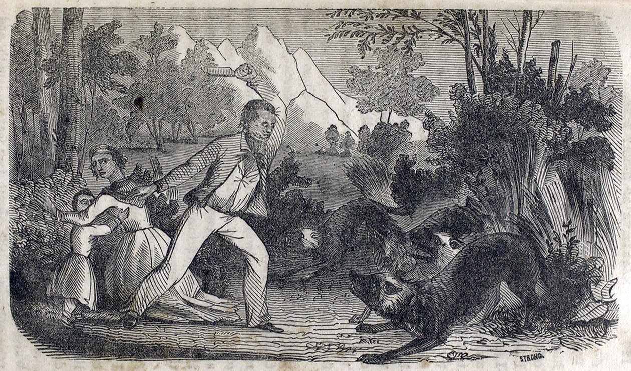 Bir kadın ve çocuğun önünde köpeklerle kavga eden bir adam by American School