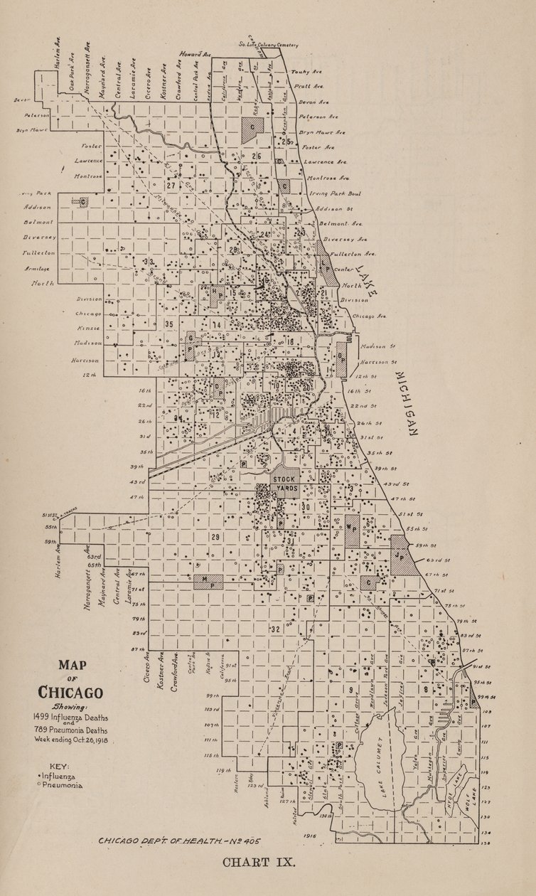 1918 sonbaharında Chicago şehrinde bir grip salgını hakkında bir rapor by American School