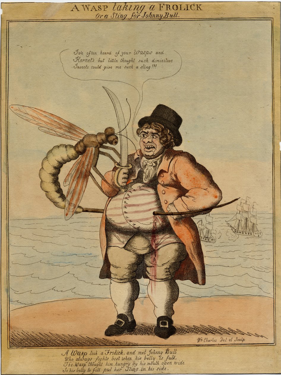 Eğlenen bir yaban arısı, 1813 (el boyaması gravür) by American School