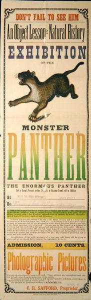 Canavar Panter sergisinin reklamı by American School