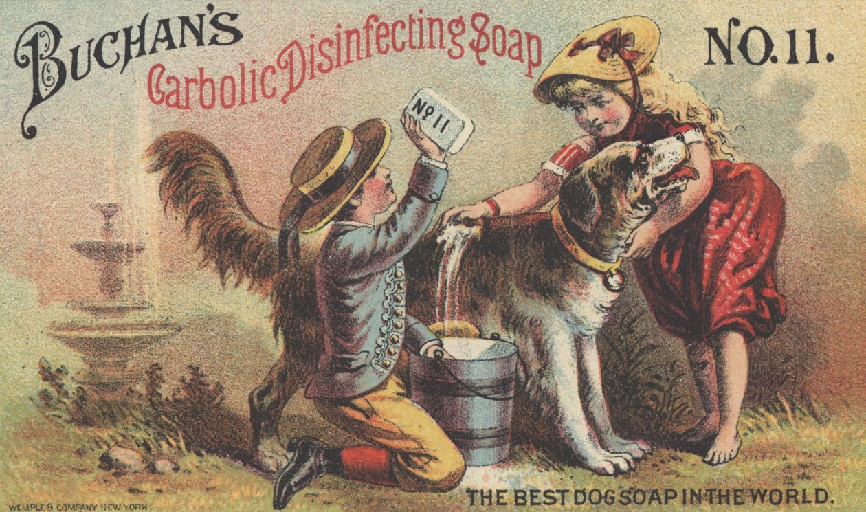 Buchans Carbolic Dezenfekte Edici Sabun No. 11, c.1880 için Reklam by American School