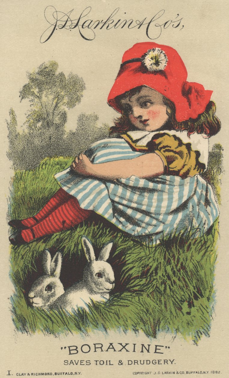 J. D. Larkin & Cos Boraksin için Reklam, 1882 by American School