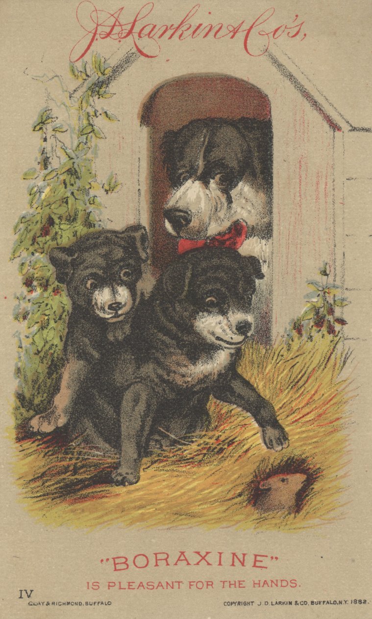 J. D. Larkin & Cos Boraksin için Reklam, 1882 by American School