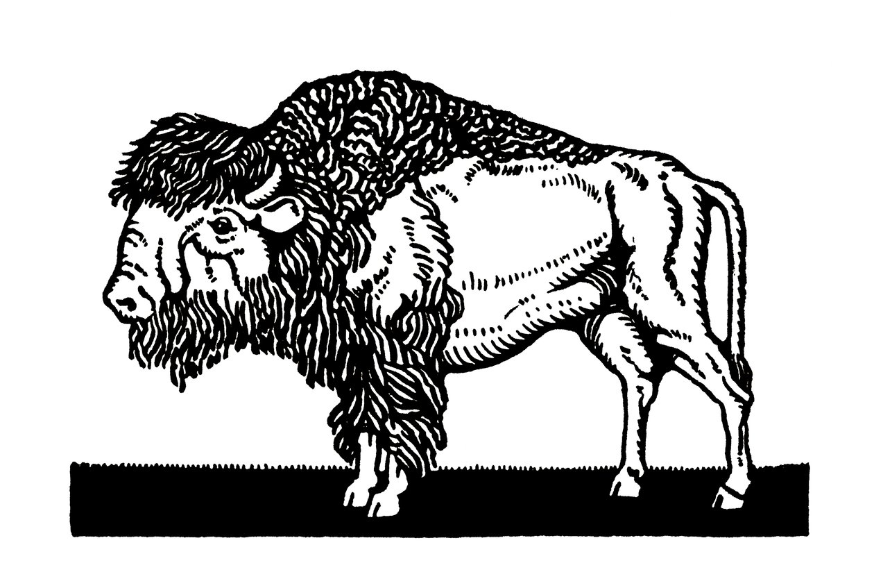 Eski Batı