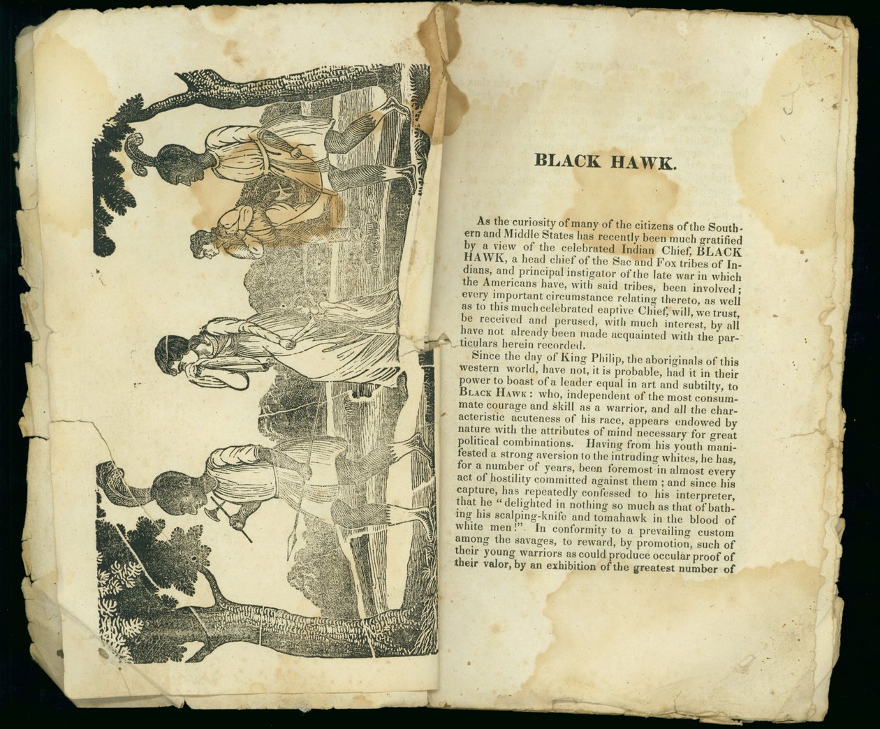 Black Hawk, Bayan Jane Lewis