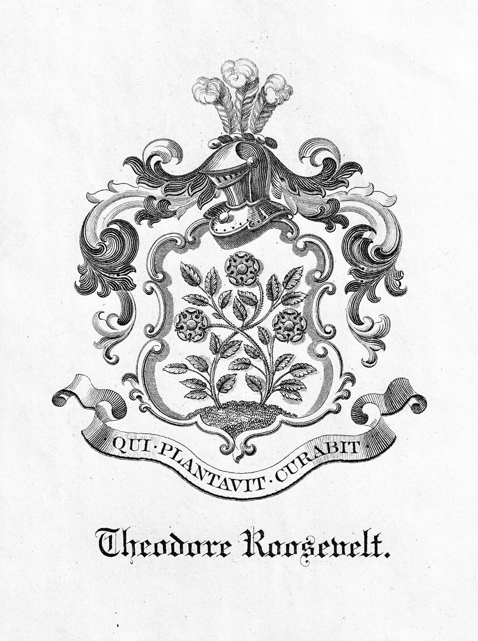 Başkan Theodore Roosevelt'in (1858-1919) kitapçığı (baskı) by American School