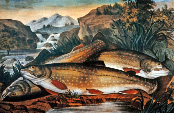 Brook Trout- Just Caught, Currier & Ives tarafından yayınlandı, c.1870 (renkli taş) by American School