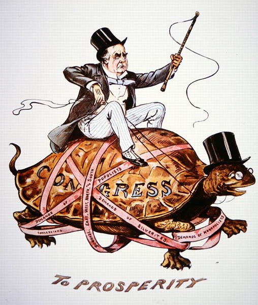 Başkan William Mckinley