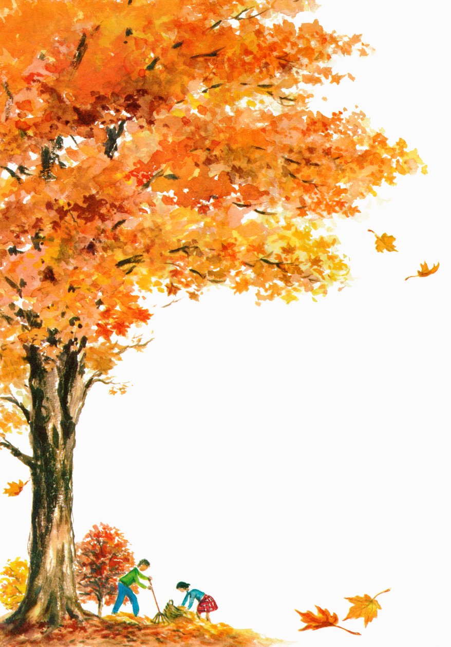  by American School