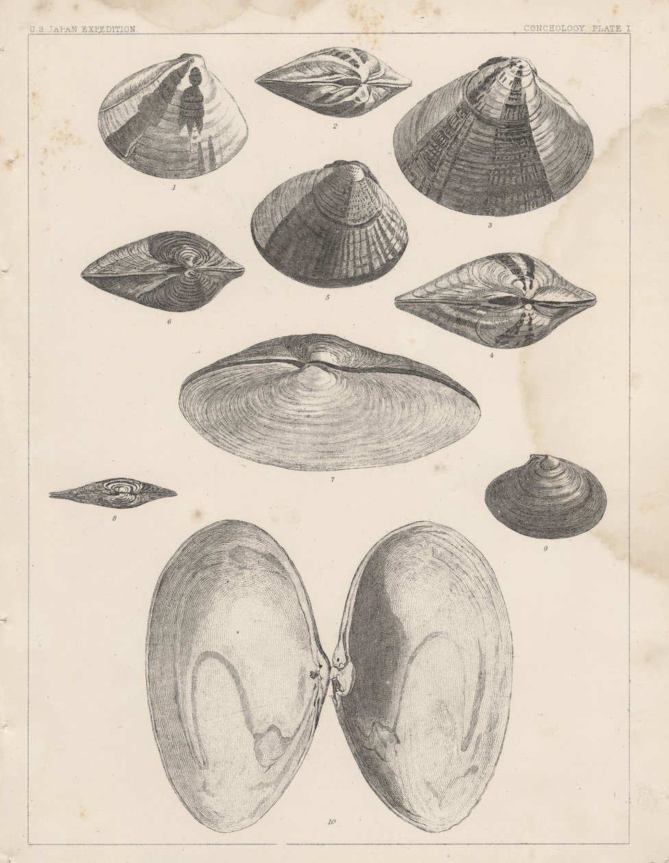  by American School