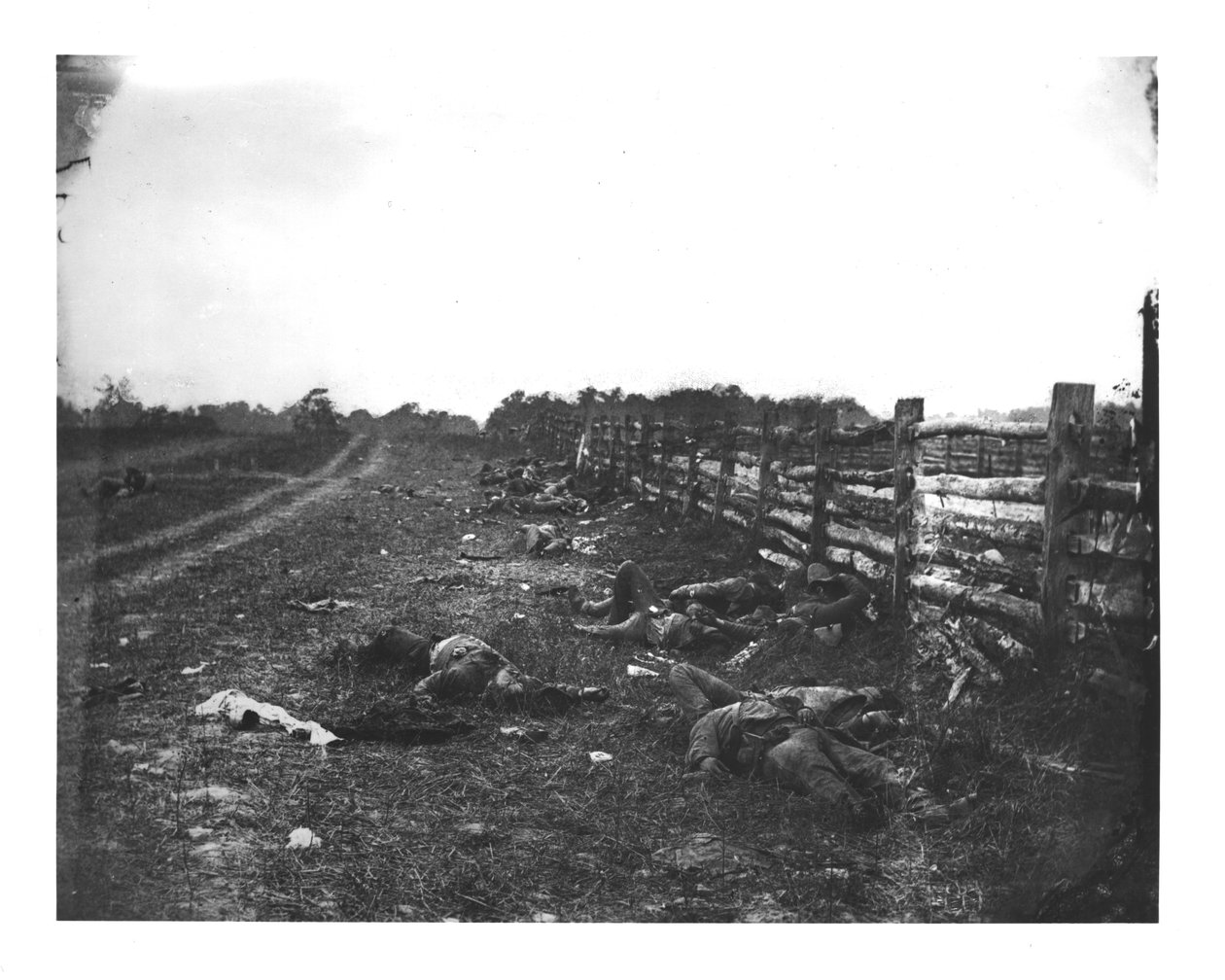 Hagerstown Pike Batı Yakası Boyunca Konfederasyon Ölü, Antietam Savaşı, 19 Eylül 1862 by American School
