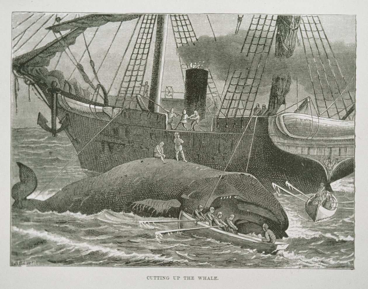 The American Whale Fishery