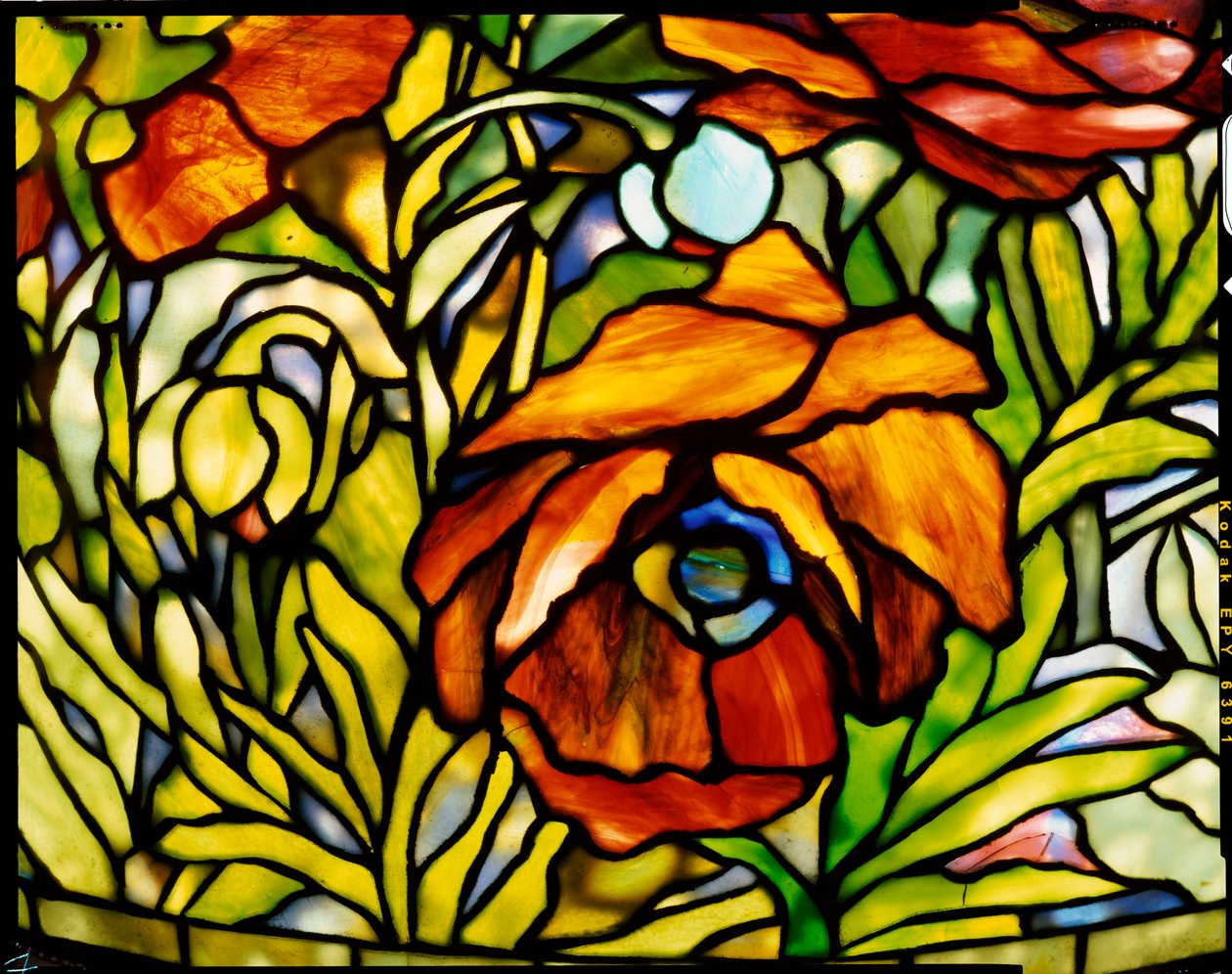 "Oriental Poppy" zemin lambasının detayı, Tiffany Studios, 1902 by American School