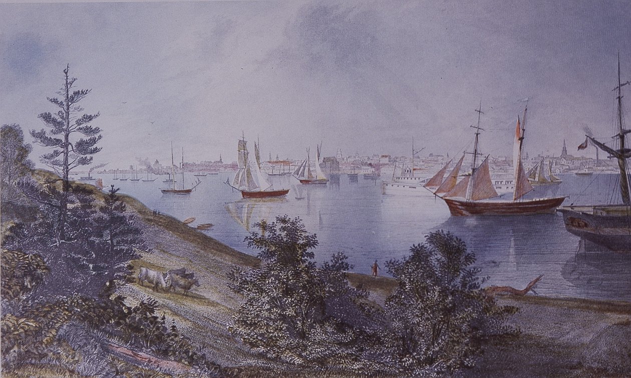 Tony roig, yol kanseri, tavşan by American School