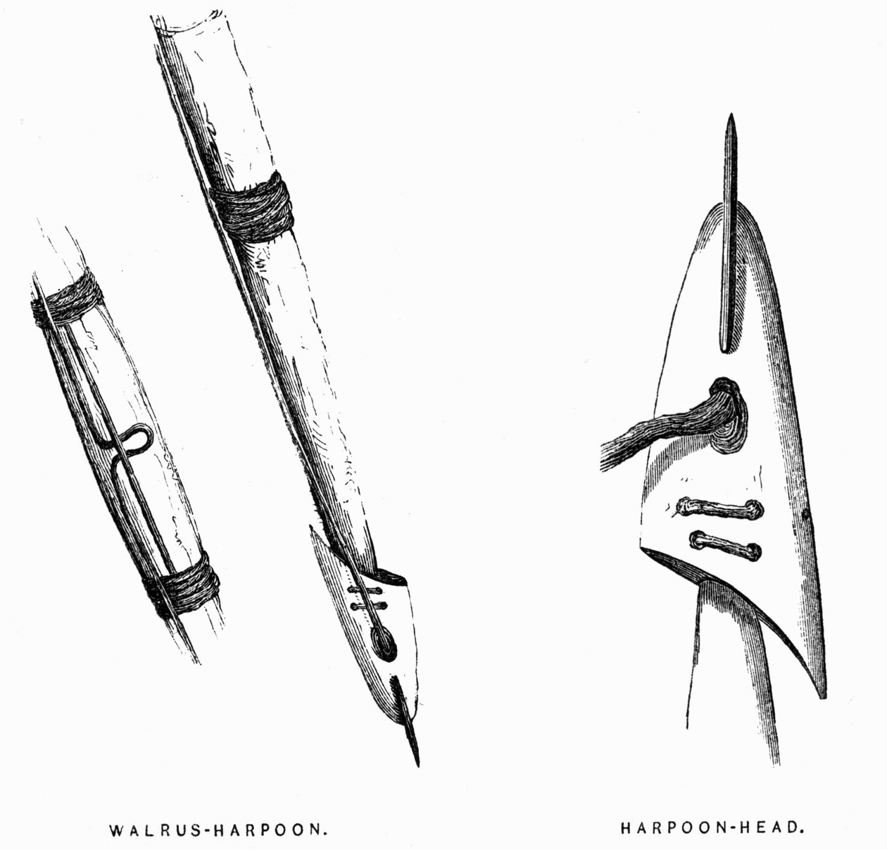 Eskimo Av Aletleri: Zıpkınlar - Elisha Kent Kane, 1853-1855 Yıllarında Arctic Keşifleri, cilt. 1, s. 412, Philadelphia by American School