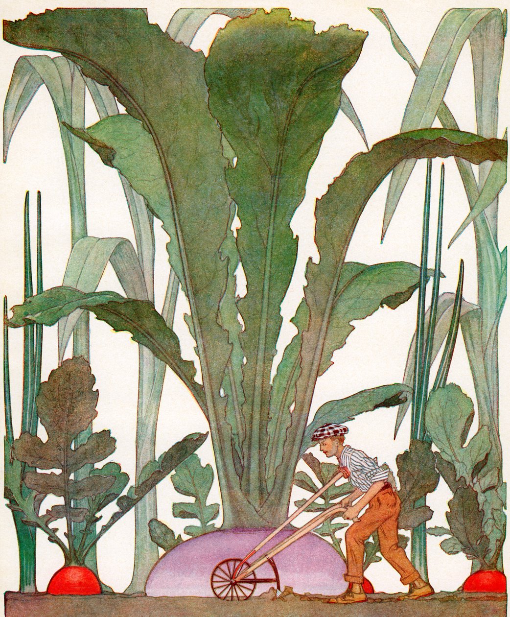  by American School
