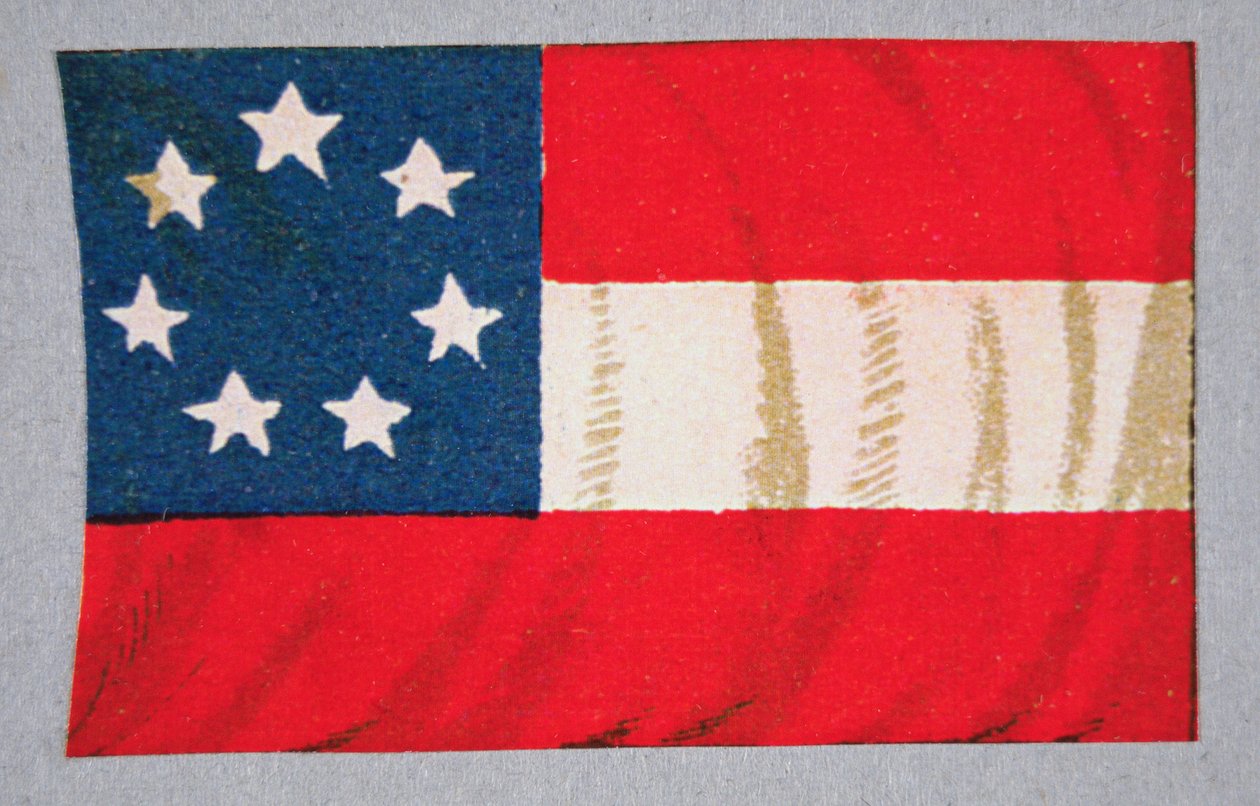 Amerika Konfedere Devletleri Bayrağı (renkli taş) by American School