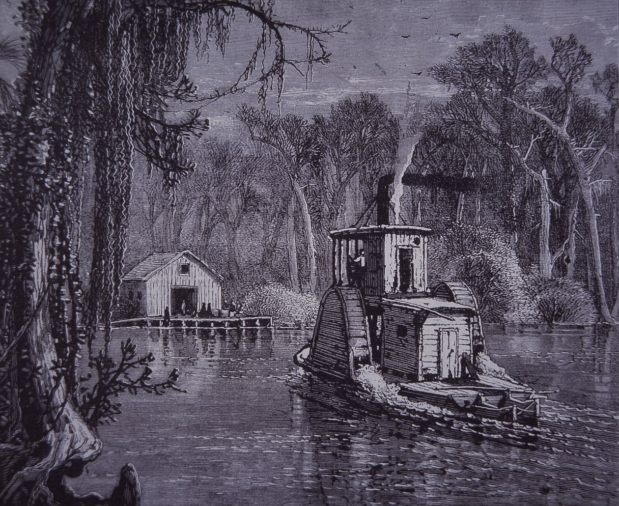 Florida Everglades sahnesi by American School