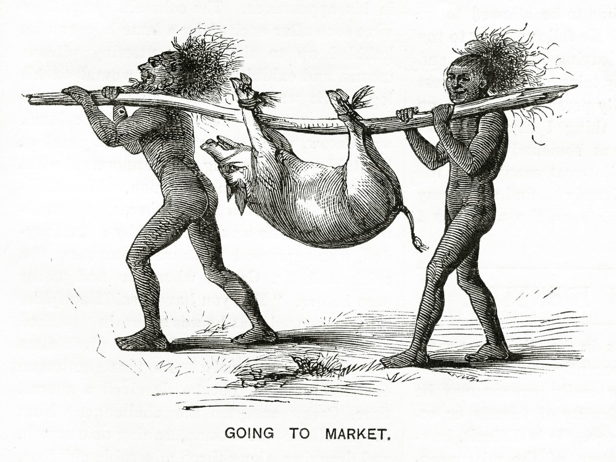 Markete Gitmek, Appletons Journal