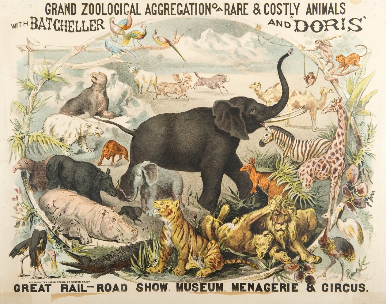 Batcheller ve Doris (chromolitho) ile Nadir ve Pahalı Hayvanların Büyük Zoolojik Toplama by American School
