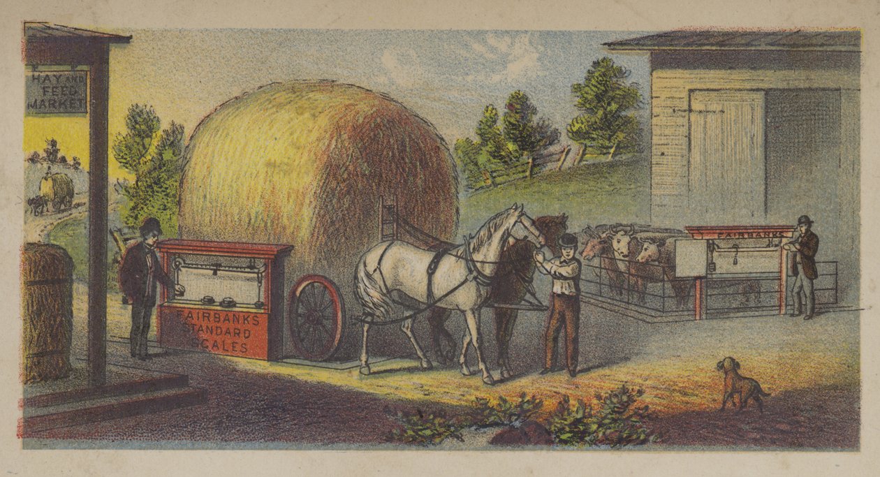  by American School