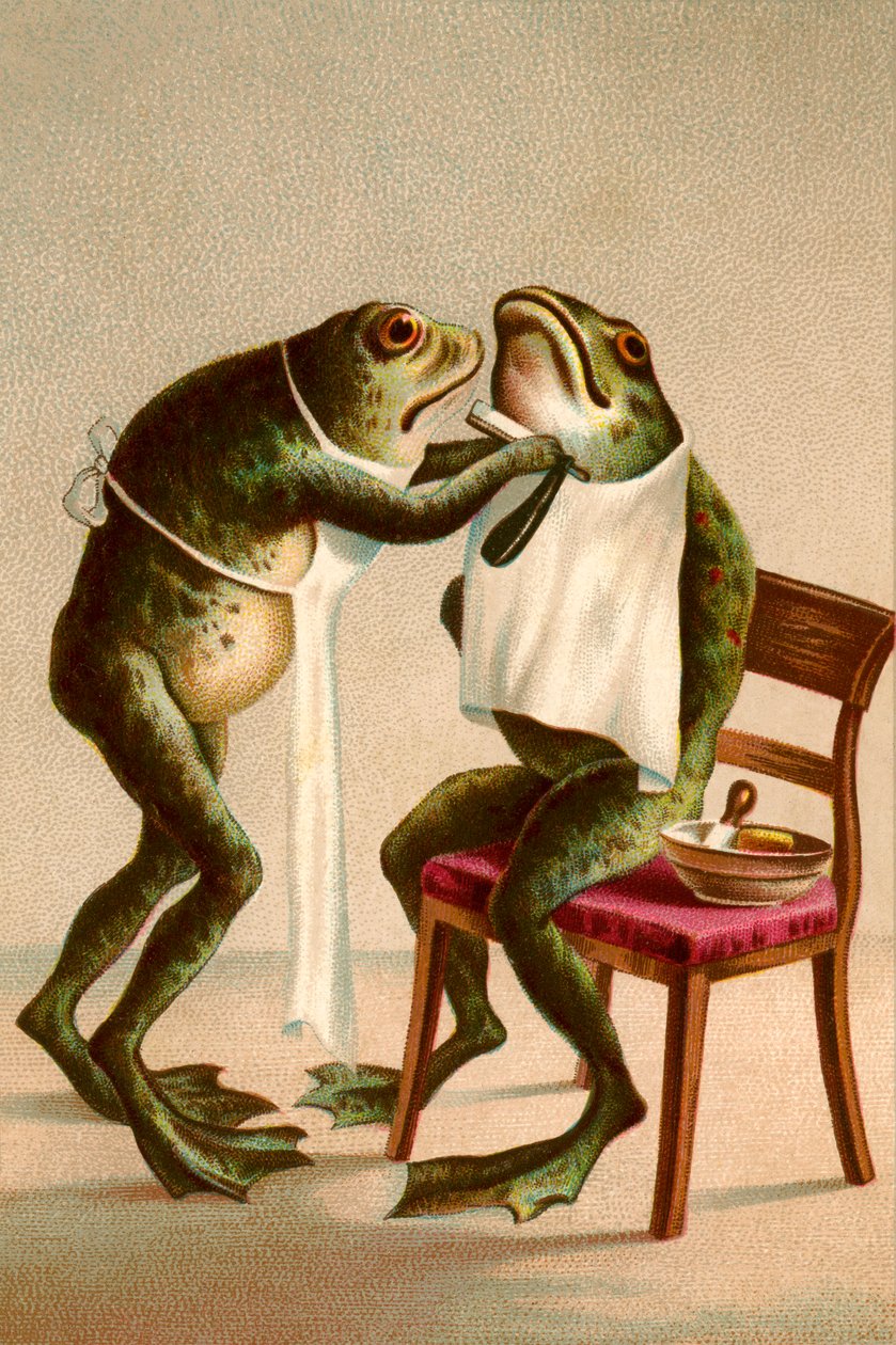  by American School