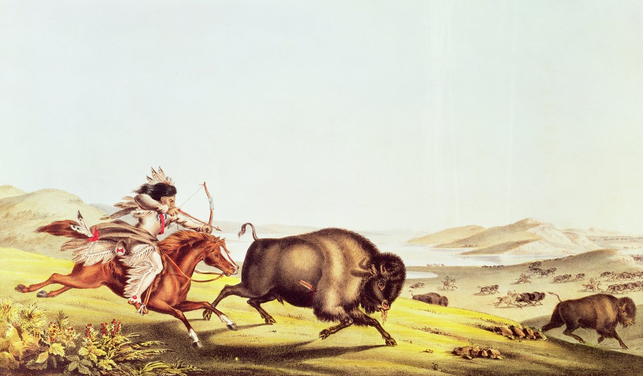 Hunting the Buffalo  by American School