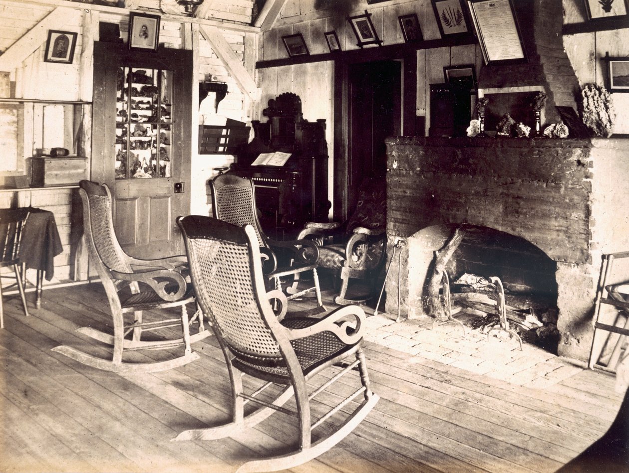 Bir Amerikan ahşap kulübesinin içi, 1880