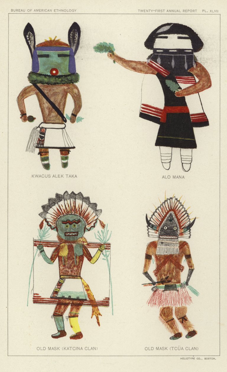  by American School