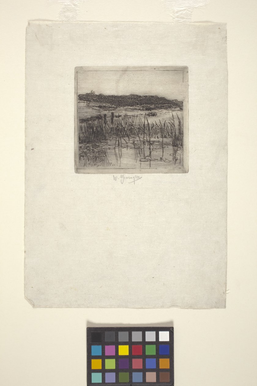 Bataklık (gravür) by American School