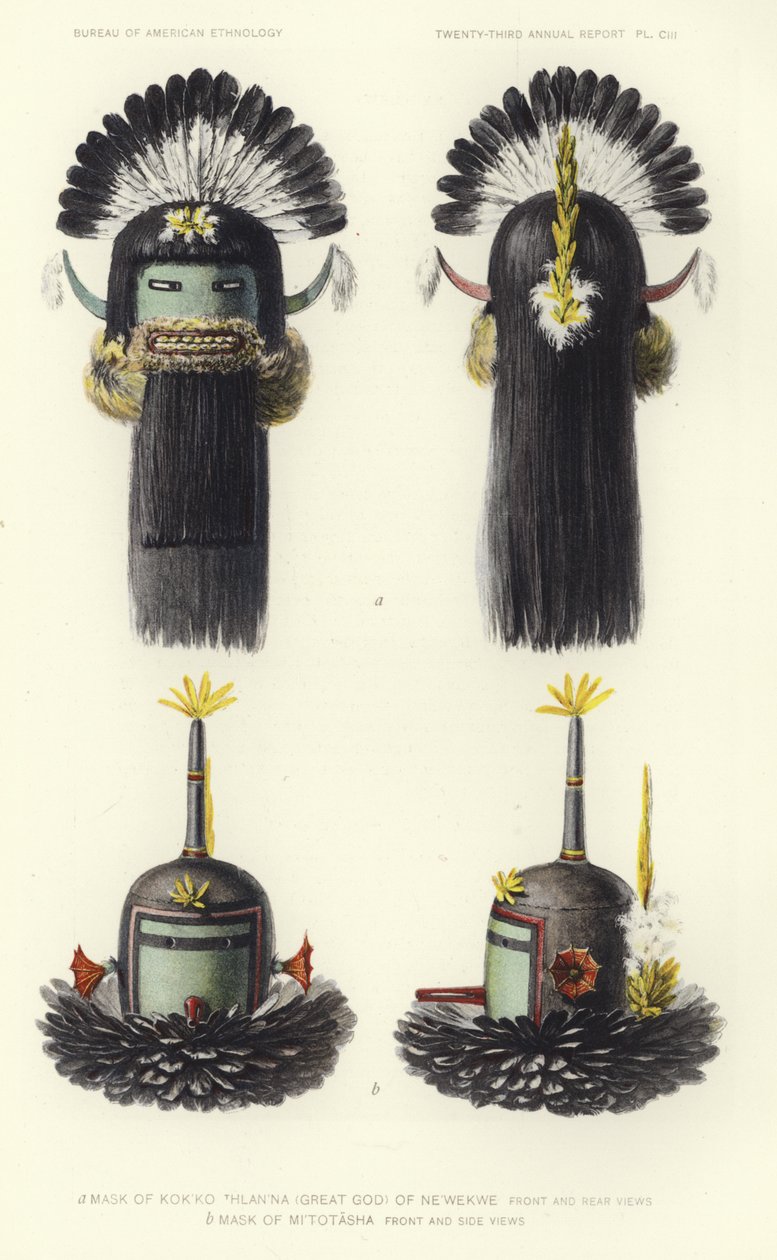  by American School
