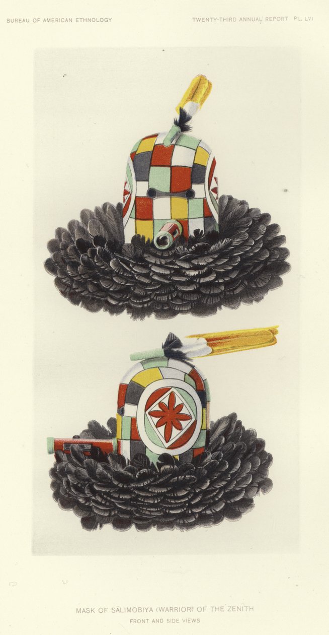  by American School