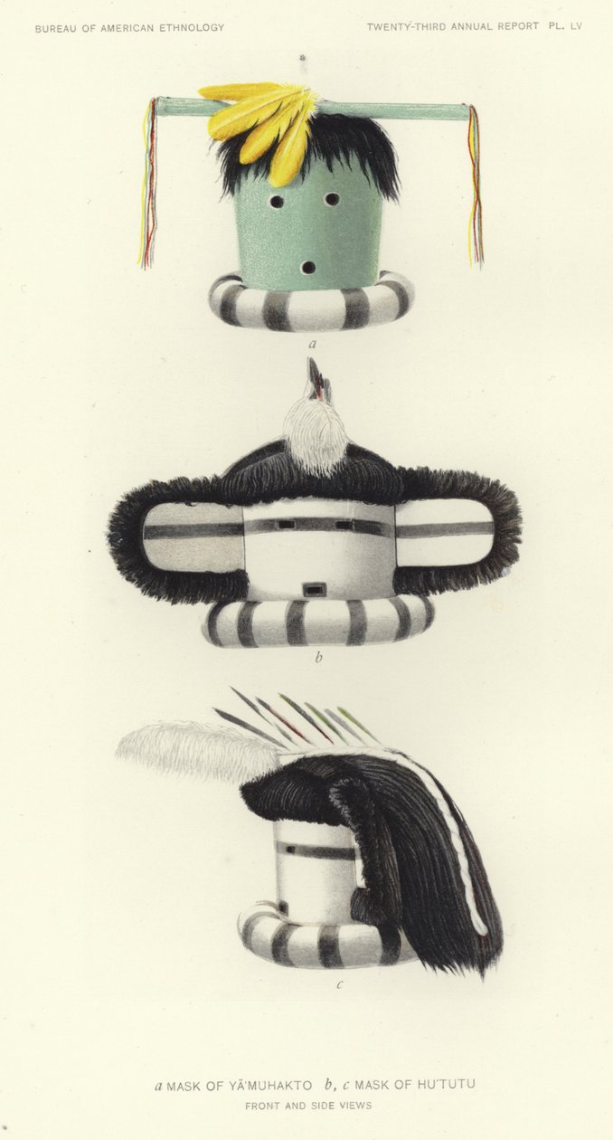  by American School