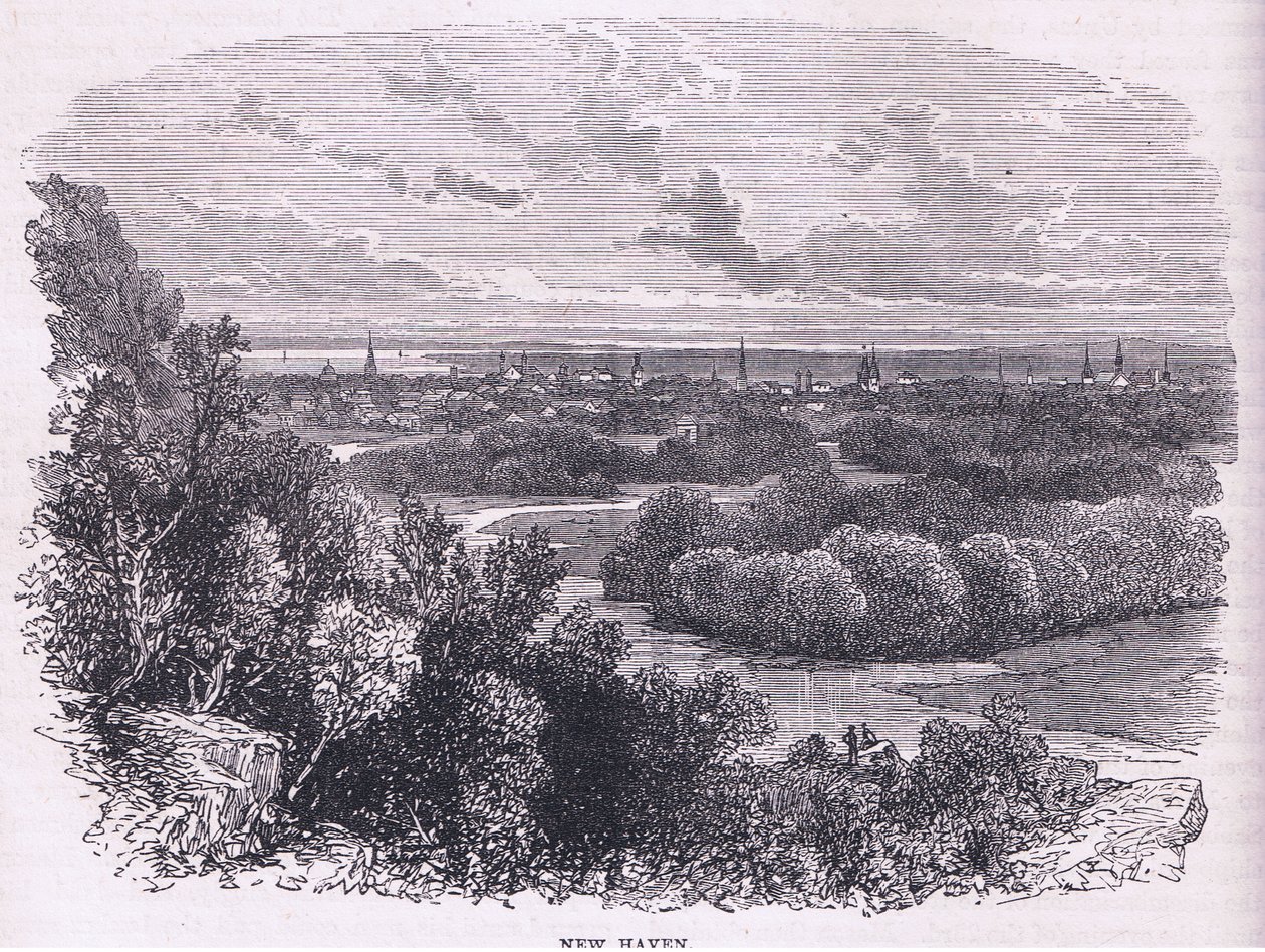 New Haven, Cassell