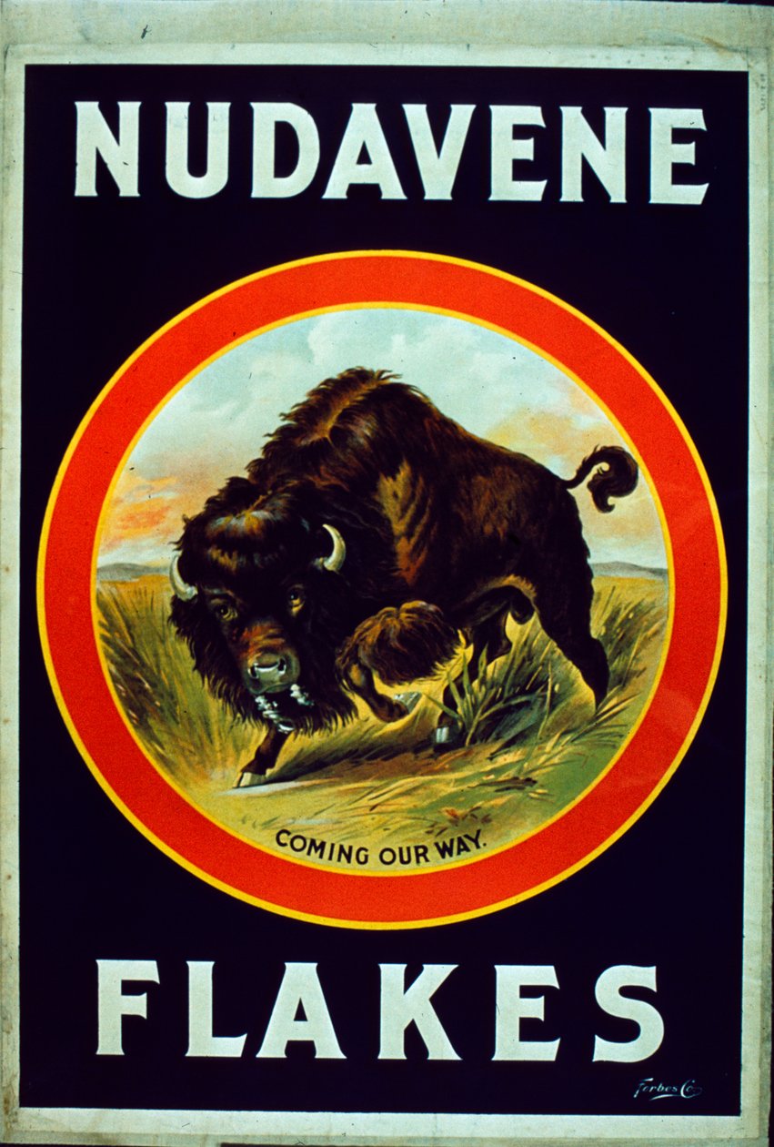 nüdavene gevreği by American School