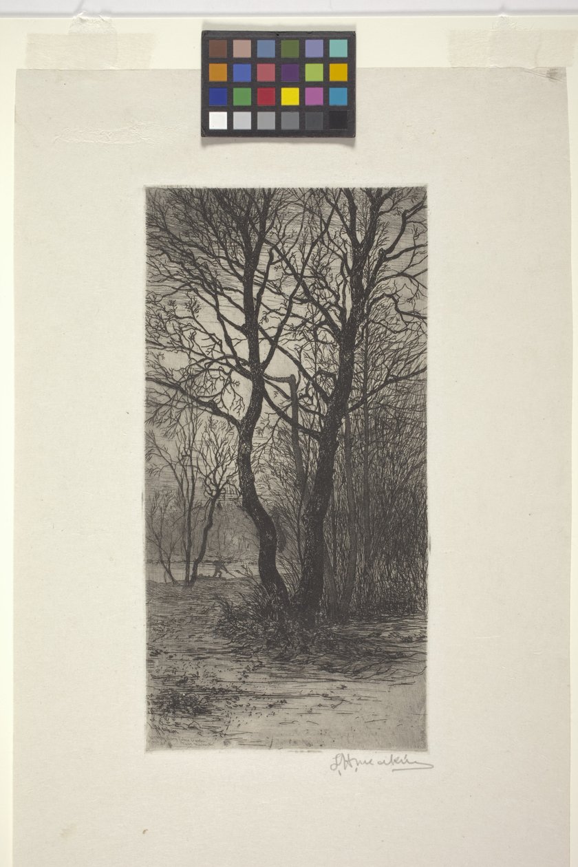 Nymphenburg Sarayı Bahçesi, Münih Yakını (gravür) by American School