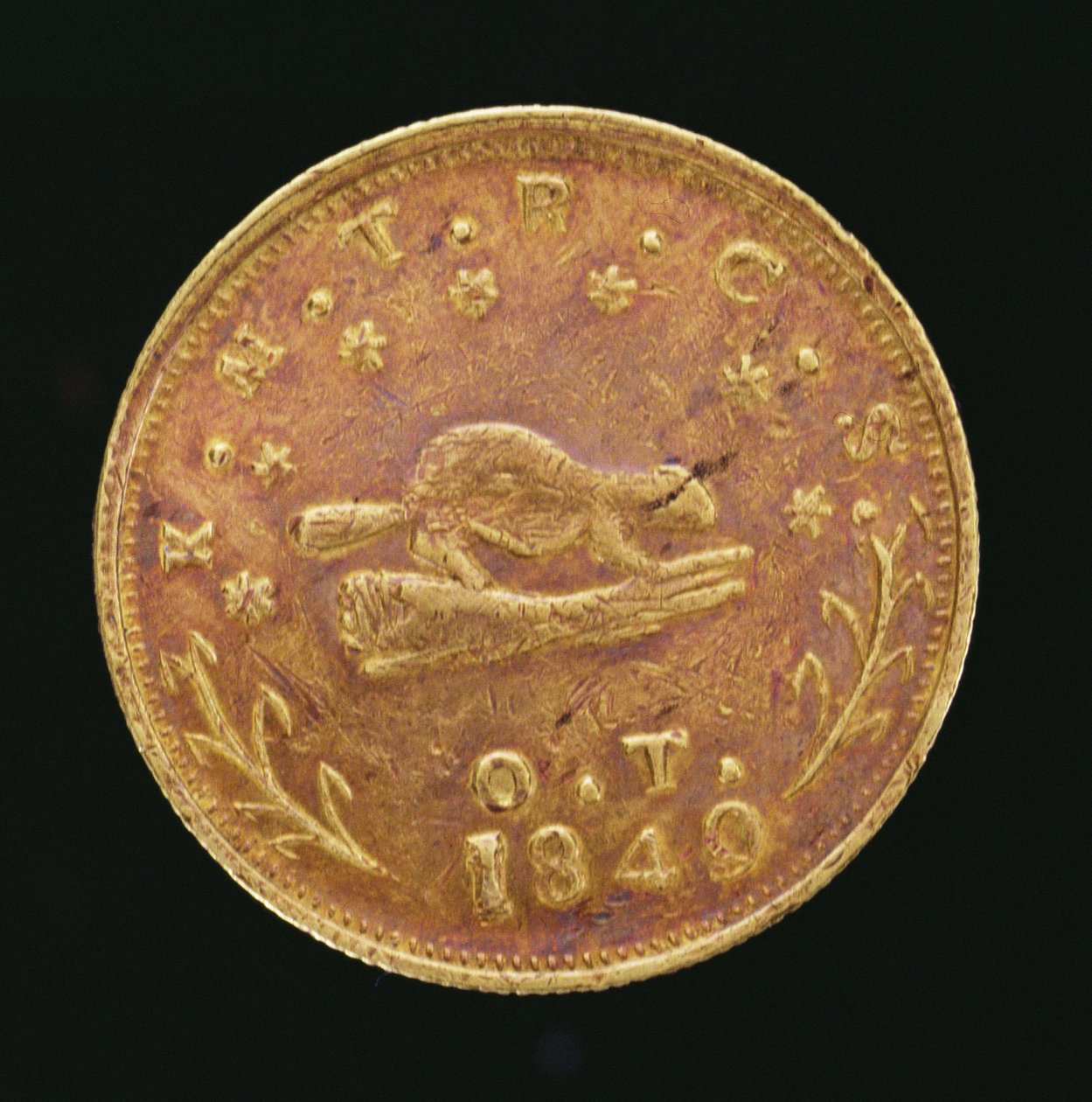 Oregon Değişim Şirketi On Dolar by American School