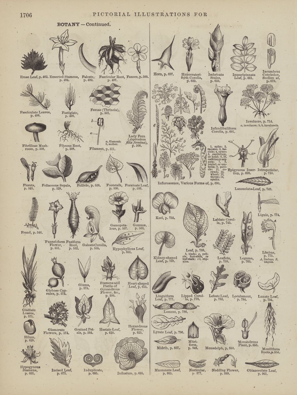  by American School