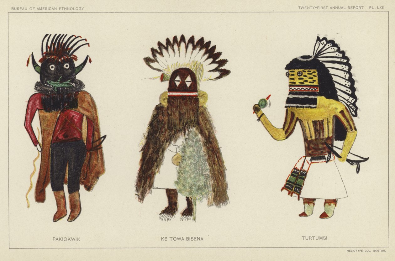  by American School