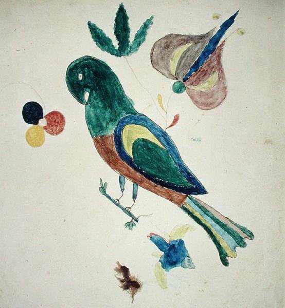 muhabbet kuşu by American School