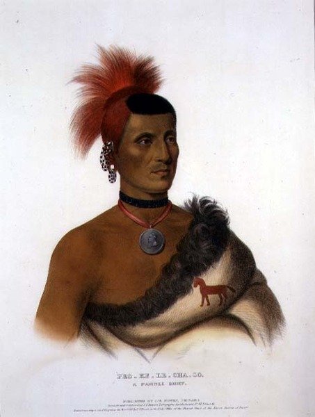 Pes-Ke-Le-Cha-Co, Bir Pawnee Şefi, pub. J. T. Bowen (1801-c.1856) 1841 (renkli taş) by American School