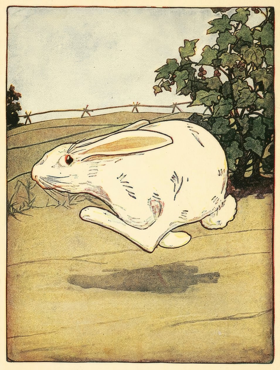 Peter, The Tale of Peter Rabbit
