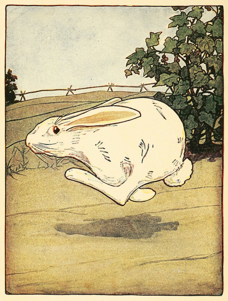 Peter, The Tale of Peter Rabbit, pub