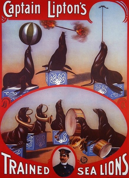 Poster reklamı 