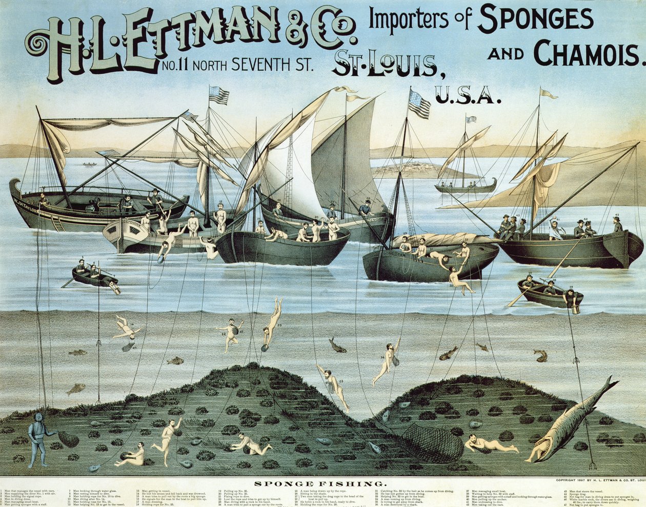 Poster reklamı H.L. Ettman & Co., Sünger ve Güderi İthalatçıları, 1897 by American School