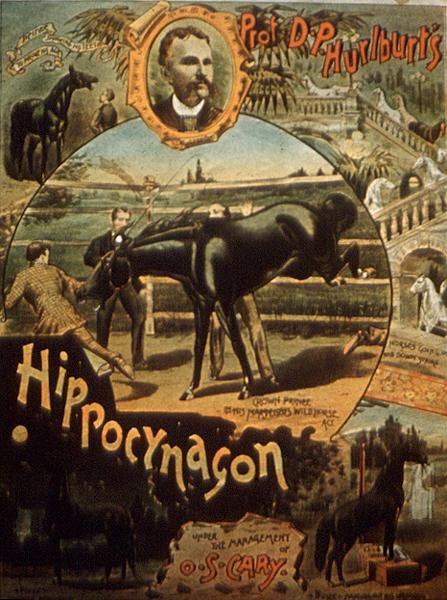 Poster reklamı Profesör D. H. Hurlburt